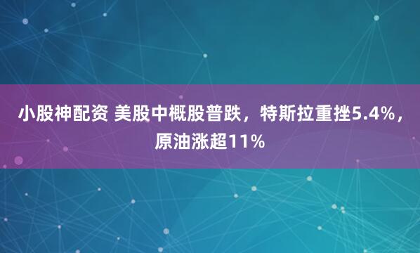 小股神配资 美股中概股普跌，特斯拉重挫5.4%，原油涨超11%